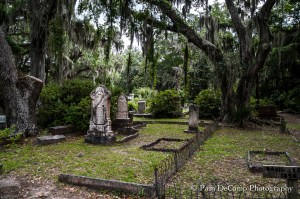 Bonaventure Cemetery 
