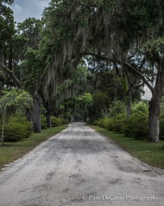 Entry into Bonaventure Cemetery