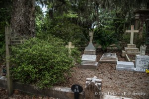 Johnny Mercer family plot