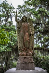 Fascinating with the star on it's head