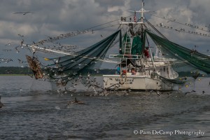 Shrimp boat