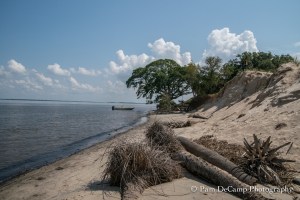 Along the beach at Ossabaw