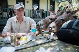 Pleaaassse.....share?