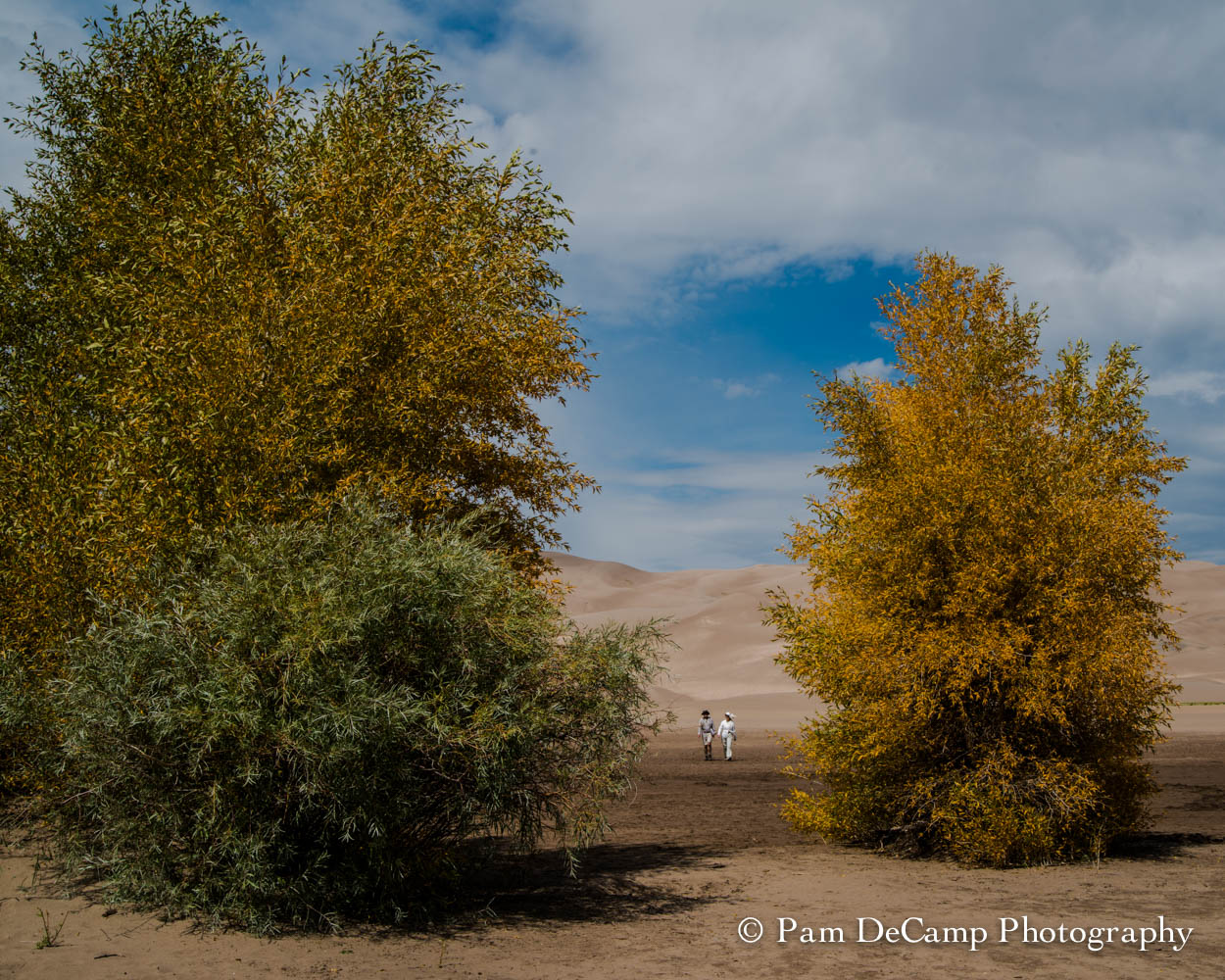Great Sand Dunes National Park