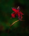 PDC_2762-Edit-Edit
