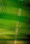 PDC_3995-Edit
